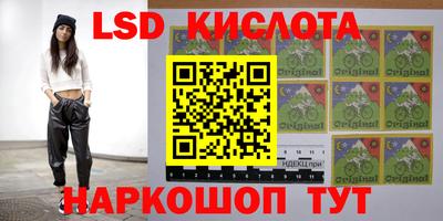 гидропоника Славянск-на-Кубани