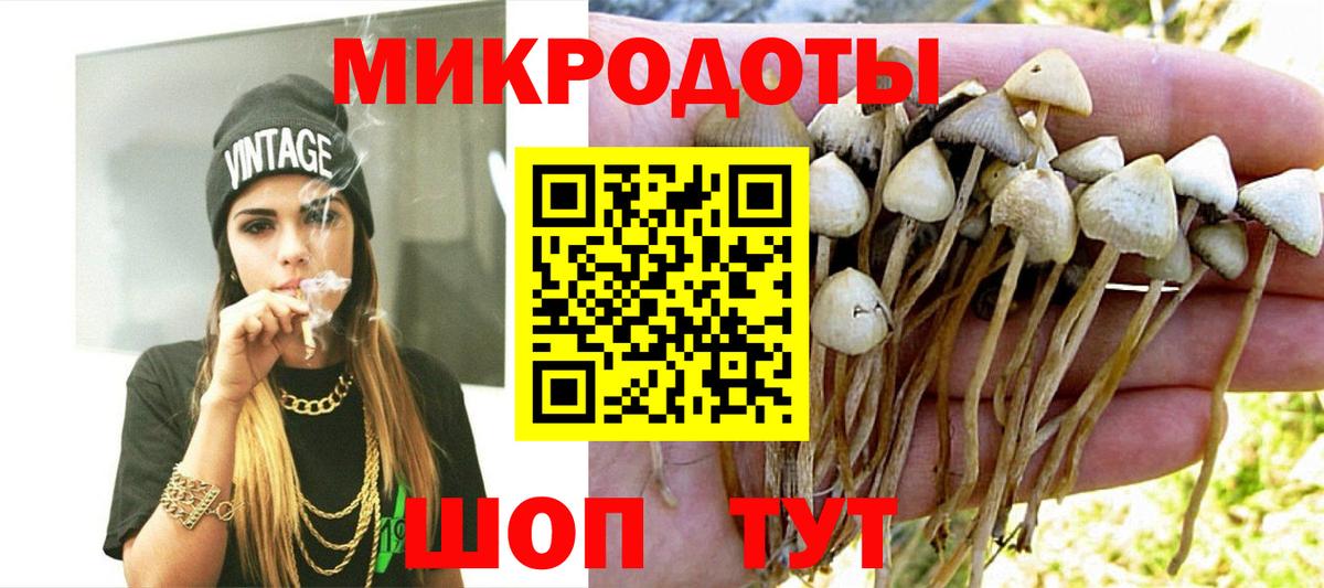 Галлюциногенные грибы прущие грибы Первоуральск