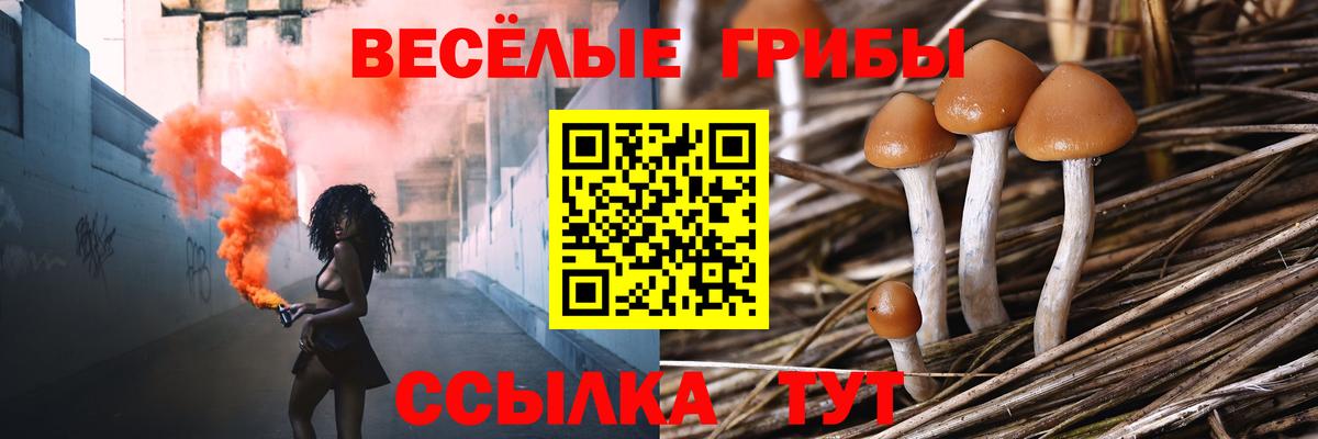 Галлюциногенные грибы мицелий  Галлюциногенные грибы ЛСД  Вход с VPN  Первоуральск 
